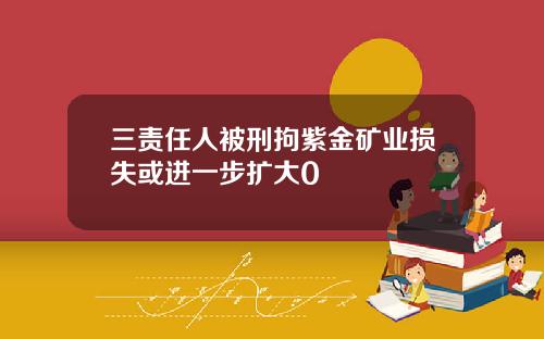 三责任人被刑拘紫金矿业损失或进一步扩大0