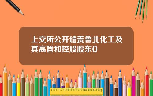 上交所公开谴责鲁北化工及其高管和控股股东0