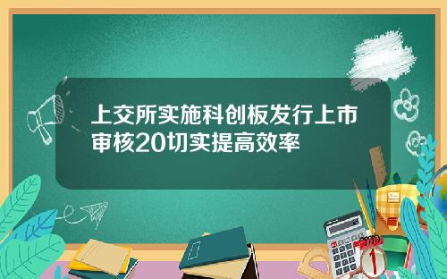 上交所实施科创板发行上市审核20切实提高效率