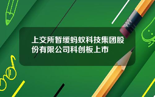 上交所暂缓蚂蚁科技集团股份有限公司科创板上市