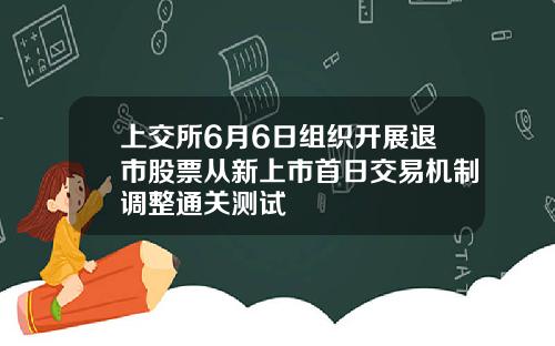 上交所6月6日组织开展退市股票从新上市首日交易机制调整通关测试