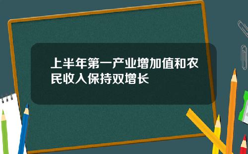 上半年第一产业增加值和农民收入保持双增长