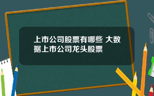 上市公司股票有哪些 大数据上市公司龙头股票 上市公司股票有哪些 大数据上市公司龙头股票