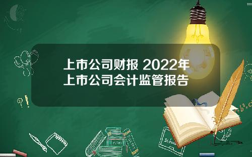 上市公司财报 2022年上市公司会计监管报告