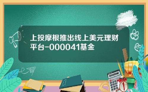 上投摩根推出线上美元理财平台-000041基金