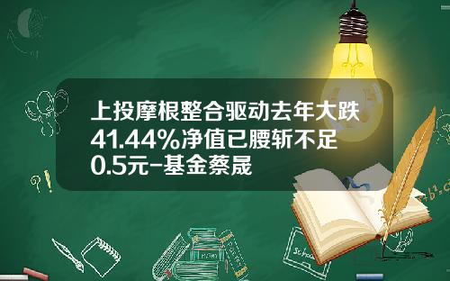 上投摩根整合驱动去年大跌41.44%净值已腰斩不足0.5元-基金蔡晟