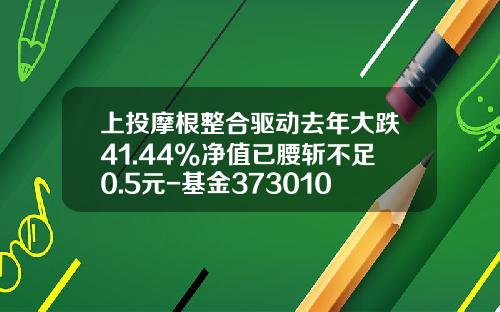 上投摩根整合驱动去年大跌41.44%净值已腰斩不足0.5元-基金373010净值