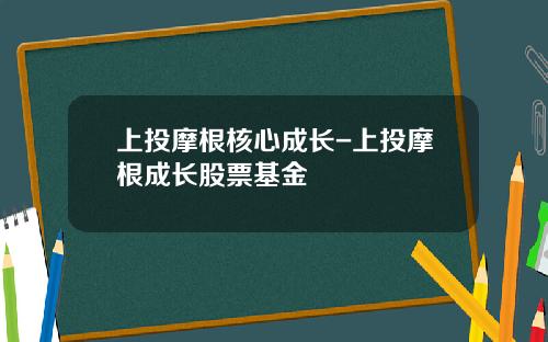 上投摩根核心成长-上投摩根成长股票基金 上投摩根核心成长-上投摩根成长股票基金