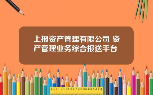 上报资产管理有限公司 资产管理业务综合报送平台 上报资产管理有限公司 资产管理业务综合报送平台