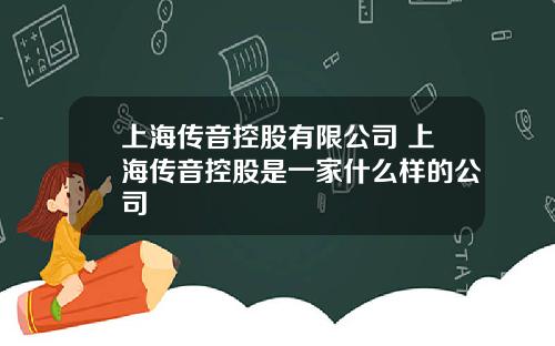 上海传音控股有限公司 上海传音控股是一家什么样的公司