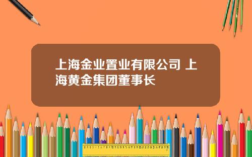 上海金业置业有限公司 上海黄金集团董事长