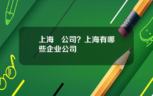 上海   公司？上海有哪些企业公司