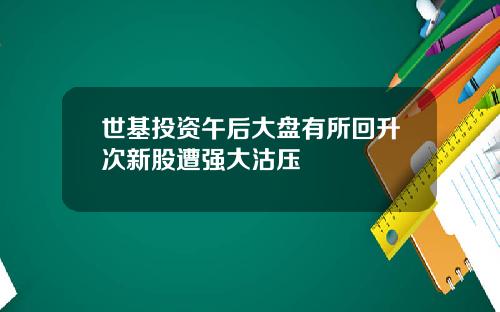 世基投资午后大盘有所回升次新股遭强大沽压