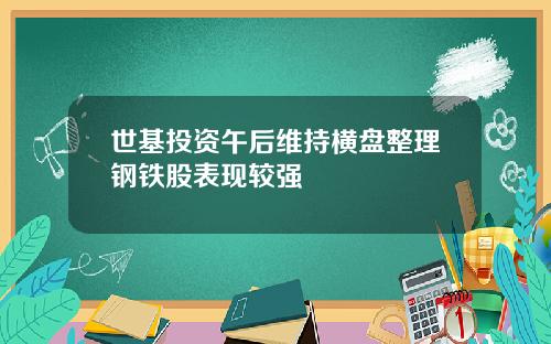 世基投资午后维持横盘整理钢铁股表现较强