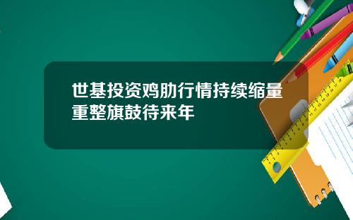 世基投资鸡肋行情持续缩量重整旗鼓待来年
