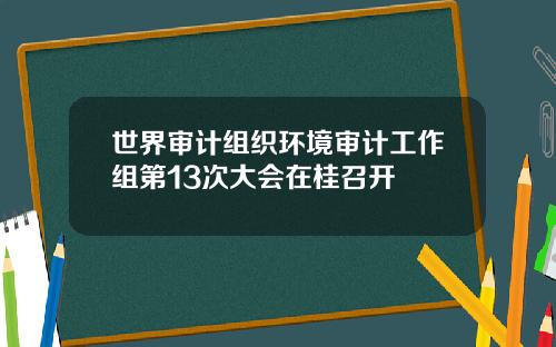 世界审计组织环境审计工作组第13次大会在桂召开