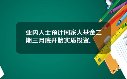 业内人士预计国家大基金二期三月底开始实质投资.