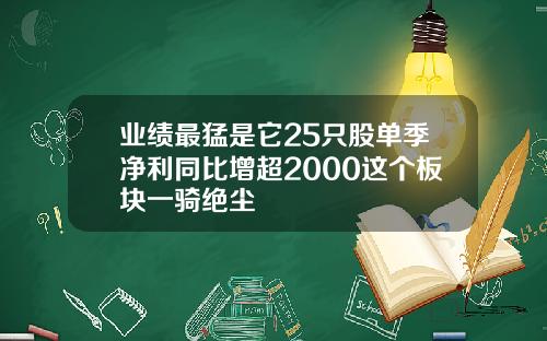 业绩最猛是它25只股单季净利同比增超2000这个板块一骑绝尘