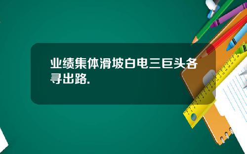 业绩集体滑坡白电三巨头各寻出路.