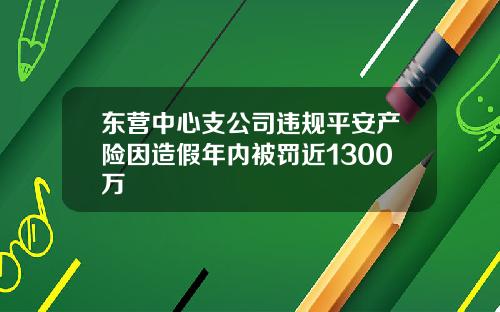 东营中心支公司违规平安产险因造假年内被罚近1300万