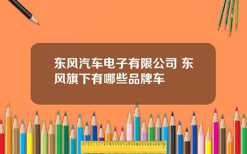 东风汽车电子有限公司 东风旗下有哪些品牌车
