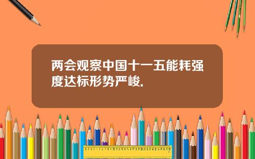 两会观察中国十一五能耗强度达标形势严峻.