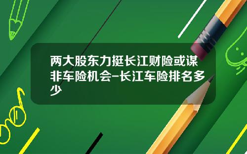 两大股东力挺长江财险或谋非车险机会-长江车险排名多少