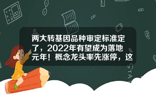 两大转基因品种审定标准定了，2022年有望成为落地元年！概念龙头率先涨停，这些公司具备转基因产品-转基因玉米产量增加多少