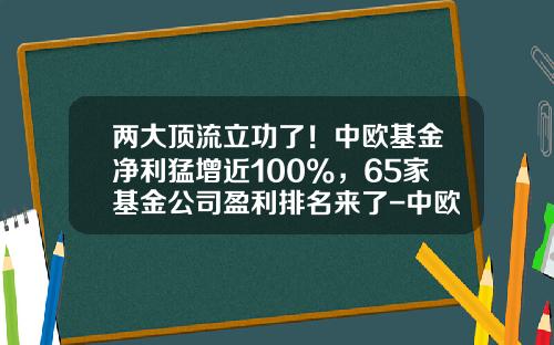 两大顶流立功了！中欧基金净利猛增近100%，65家基金公司盈利排名来了-中欧基金公司