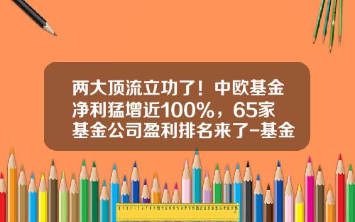 两大顶流立功了！中欧基金净利猛增近100%，65家基金公司盈利排名来了-基金公司图片