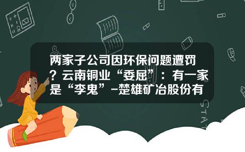 两家子公司因环保问题遭罚？云南铜业“委屈”：有一家是“李鬼”-楚雄矿冶股份有限公司
