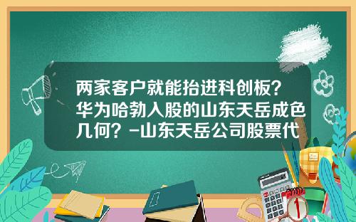 两家客户就能抬进科创板？华为哈勃入股的山东天岳成色几何？-山东天岳公司股票代码