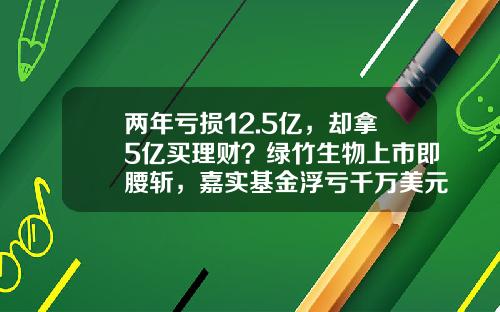 两年亏损12.5亿，却拿5亿买理财？绿竹生物上市即腰斩，嘉实基金浮亏千万美元-嘉实基金公司如何