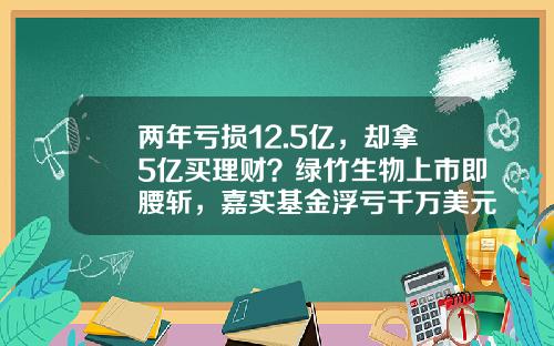 两年亏损12.5亿，却拿5亿买理财？绿竹生物上市即腰斩，嘉实基金浮亏千万美元-嘉实基金公司怎么样
