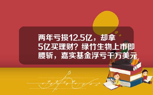 两年亏损12.5亿，却拿5亿买理财？绿竹生物上市即腰斩，嘉实基金浮亏千万美元-广州嘉实基金
