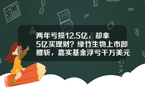 两年亏损12.5亿，却拿5亿买理财？绿竹生物上市即腰斩，嘉实基金浮亏千万美元-b类基金下折亏多少