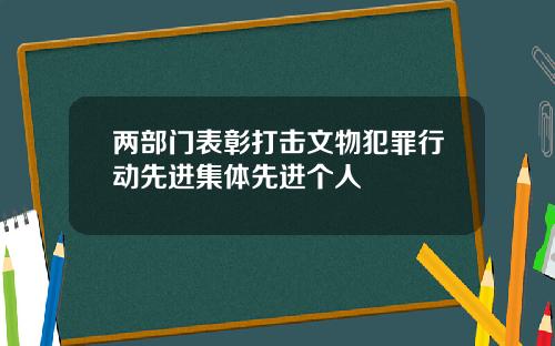 两部门表彰打击文物犯罪行动先进集体先进个人