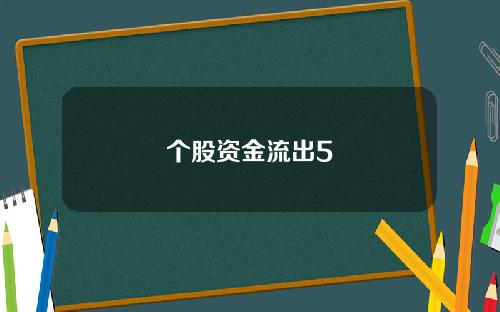个股资金流出5