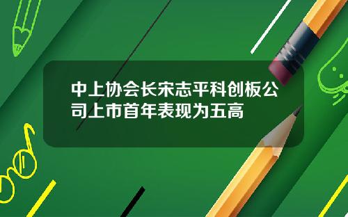 中上协会长宋志平科创板公司上市首年表现为五高