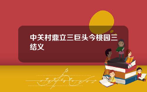 中关村鼎立三巨头今桃园三结义