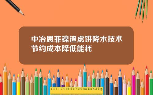 中冶恩菲镍渣虑饼降水技术节约成本降低能耗