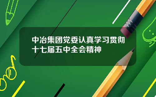 中冶集团党委认真学习贯彻十七届五中全会精神