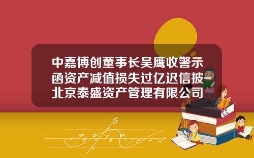 中嘉博创董事长吴鹰收警示函资产减值损失过亿迟信披-北京泰盛资产管理有限公司