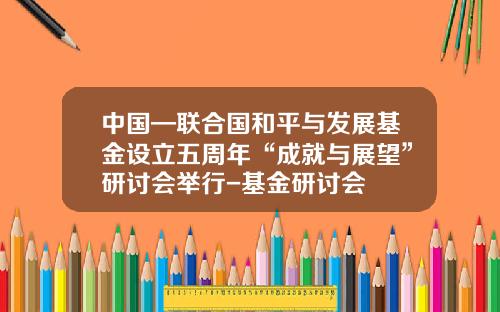 中国—联合国和平与发展基金设立五周年“成就与展望”研讨会举行-基金研讨会