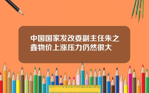 中国国家发改委副主任朱之鑫物价上涨压力仍然很大