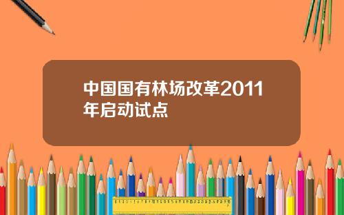 中国国有林场改革2011年启动试点