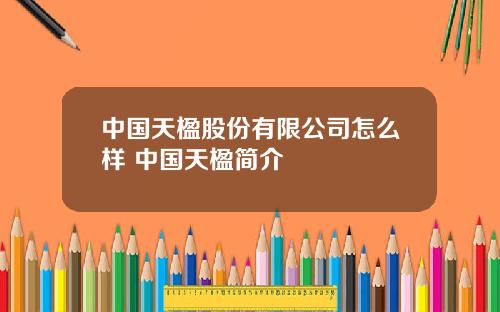 中国天楹股份有限公司怎么样 中国天楹简介