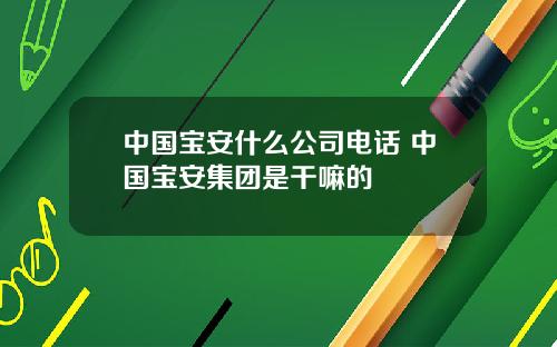 中国宝安什么公司电话 中国宝安集团是干嘛的