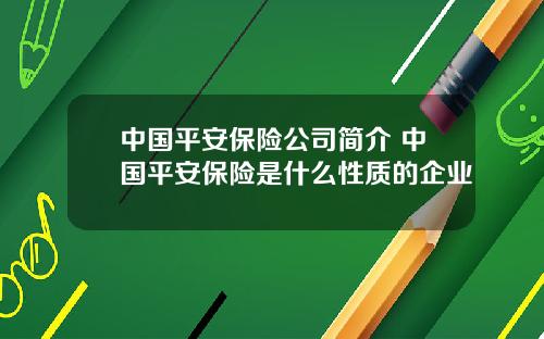 中国平安保险公司简介 中国平安保险是什么性质的企业
