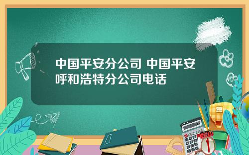 中国平安分公司 中国平安呼和浩特分公司电话